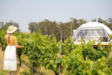 بنسيون Domescapes In The Vines