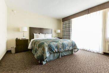 فندق Royal Palace Westwood