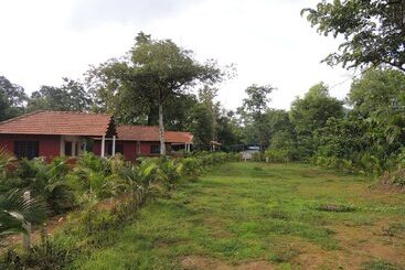 酒店 Jungle Nest Homestay