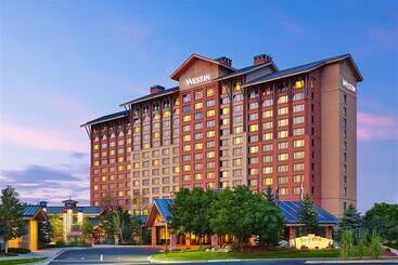 Отель The Westin Westminster
