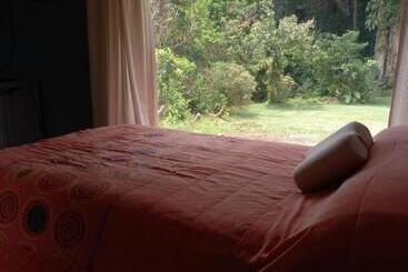 مبيت وإفطار Suite Y Loft Casa Toría