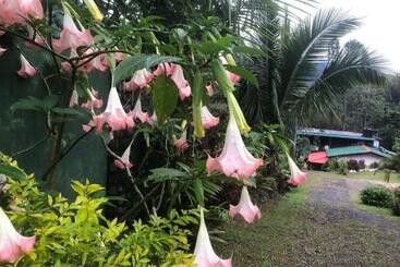 Pension Hamadhi Guest