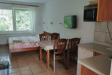 Pensió Ubytování Carmen