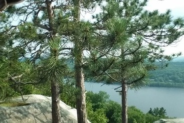 بيت ريفى Crystal Lake Cabin