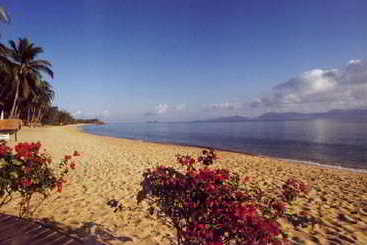 هتل Seafan Resort & Spa Ltd