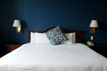 فندق Best Western Plus Los Mochis