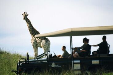 בית מלון כפרי Premier Resort Mpongo Private Game Reserve