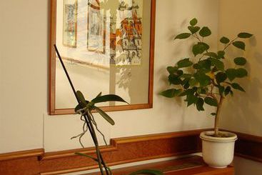 Boutique Hotel 16