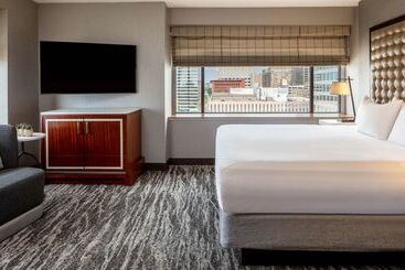 فندق Hyatt Regency Saint Louis At The Arch