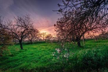 Apartamentos Solar Do Sol