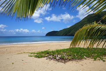 استراحتگاه Dominican Tree House Village