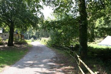膳宿费 Merlin Les Pieds Dans L Eau
