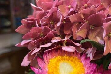 ホテル Zenner S Land