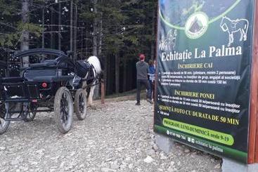 Pensiunea Casa Fierarul Din Bucovina