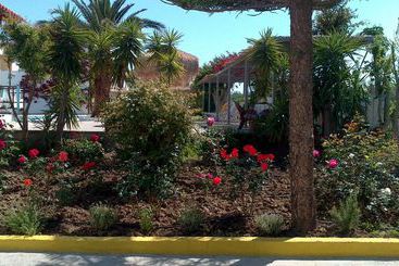 Golden Star Relax Hotel   Adults Only 16 Plus
