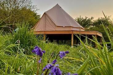 קוטג'' Bluebell Bell Tent  20 Acres Of Natural Beauty