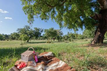 Пансион Mystay   Herdade Do Vale Da Abelheira