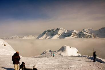 هتل Des Alpes
