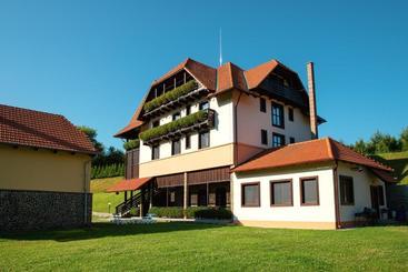 膳宿费 Villa Gherman