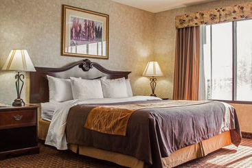 هتل Comfort Inn Silicon Valley East