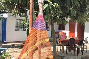 هتل Las Palmeras Eco Hostel