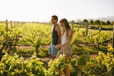 هتل Marlborough Vintners Accommodation