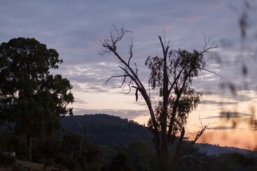 Yering Gorge Cottages