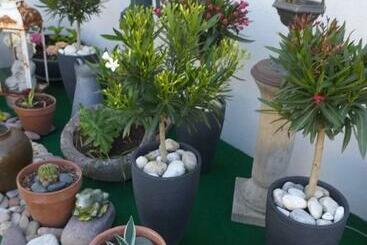 تختخواب و صبحانه 6bis Rue De La Boussaquiere St Broladre