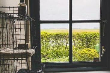 تختخواب و صبحانه Stay Inn Harlingen