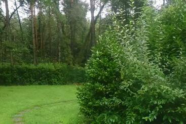 پانسیون L Oasi Nel Bosco