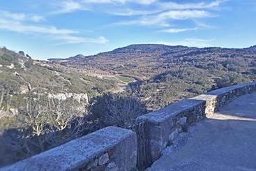 Mas de Tenesa