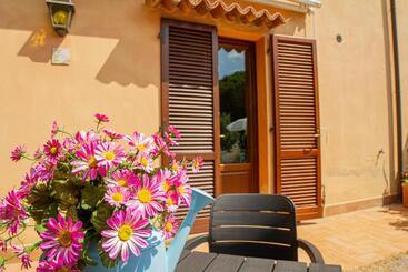 Matteo S Apartments