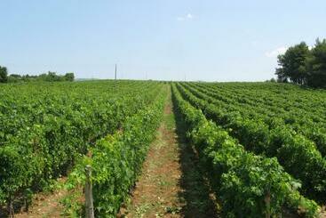 پانسیون Podere Barbi