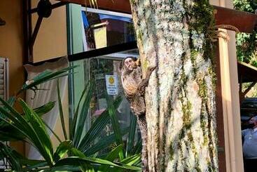 هتل Pousada Pataca De Prata   Pousada De época