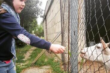 호텔 Agriturismo Petra Lucana