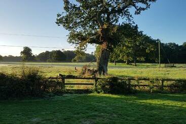 پانسیون The Barn Tarporley