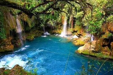هتل Posada Onix Xilitla