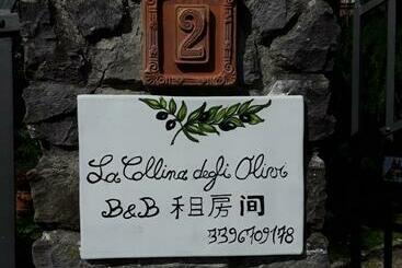 تختخواب و صبحانه La Collina Degli Olivi