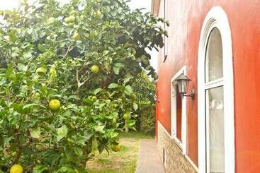 پانسیون Casa Buganvilla