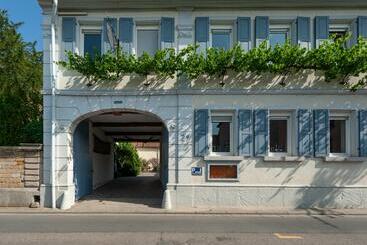 ベッドアンドブレックファースト Gästezimmer Im Weingut Wolf