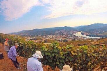 צימר Quinta Pecêga Al