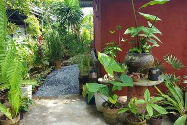 Marius B&b & Hostel