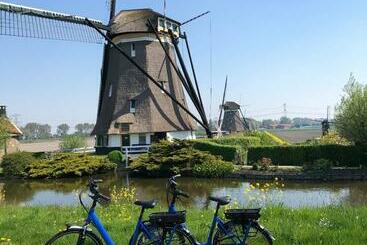 B&b Bleiswijk