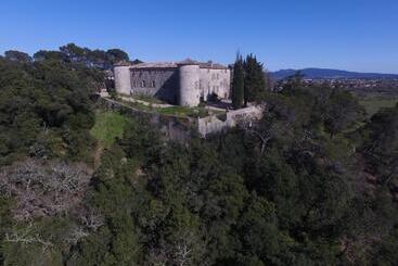 مبيت وإفطار Château De Rousson