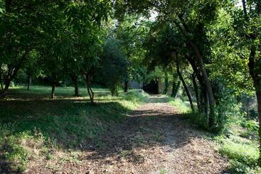 تختخواب و صبحانه La Foresteria Del Convento