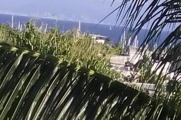 Delfin B&b