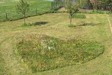 Bed and Breakfast Scherauer Hof