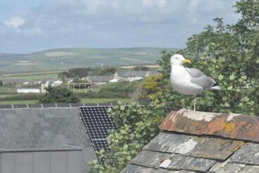 Gordon House B & B