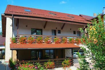 Пансион Vila Andrei