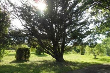 Clos Du Bois Brard B&b
